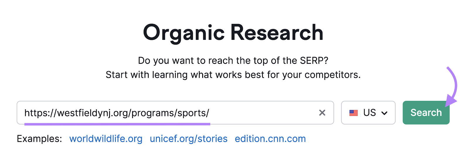 domain for local sports program entered into organic rankings tool