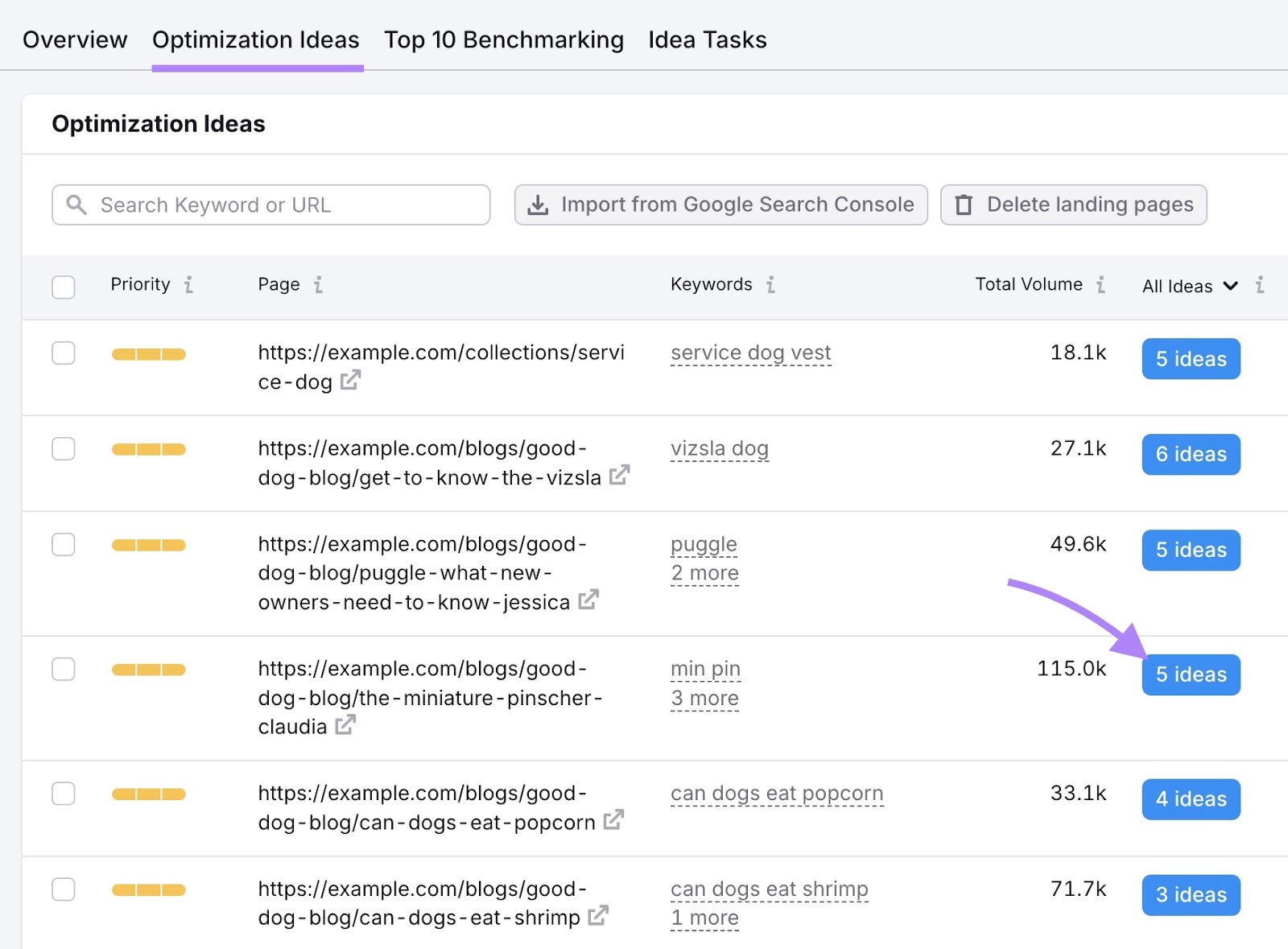 Scheda Idee di Ottimizzazione sull'On Page SEO Checker con il pulsante "5 idee" accanto a una pagina cliccata.