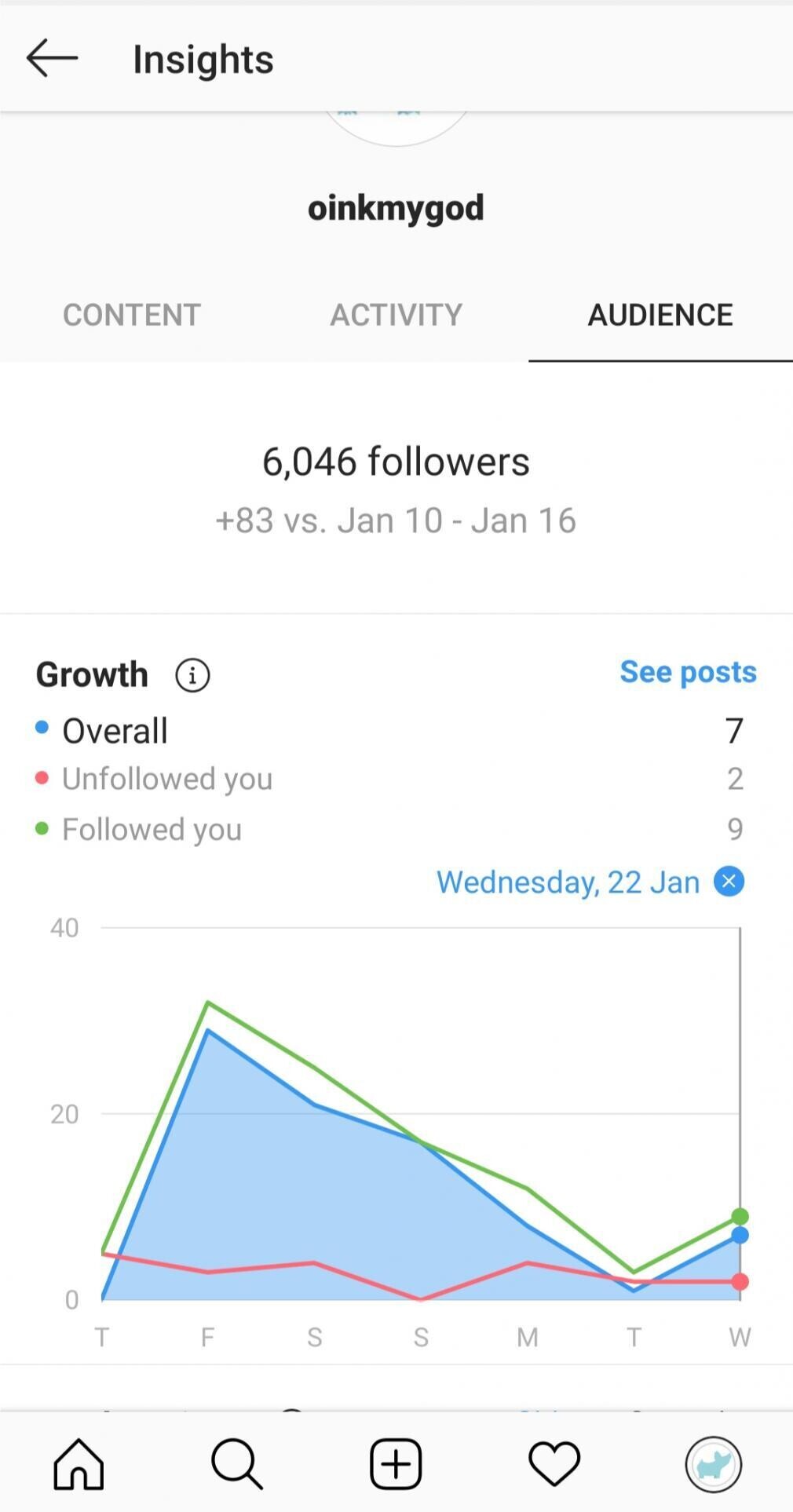 seguidores y audiencias estadísticas Instagram