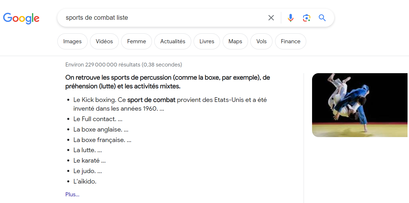 extrait optimisé avec une liste non ordonnée de sports de combat
