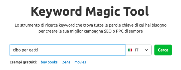3-keyword-magic-tool%20(1).png